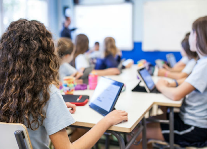 buscar colegio bilingüe