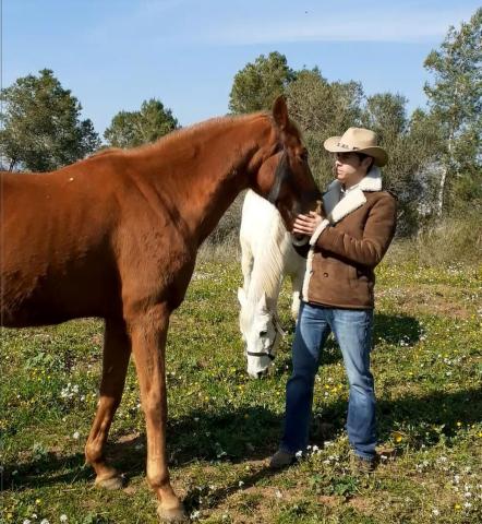 relación con caballos